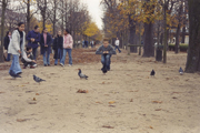 Jardin des Tuileries